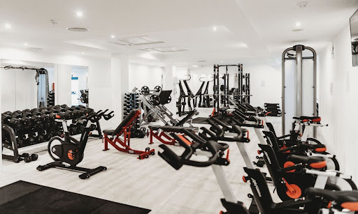 Commercial Gym Equipment Wholesale